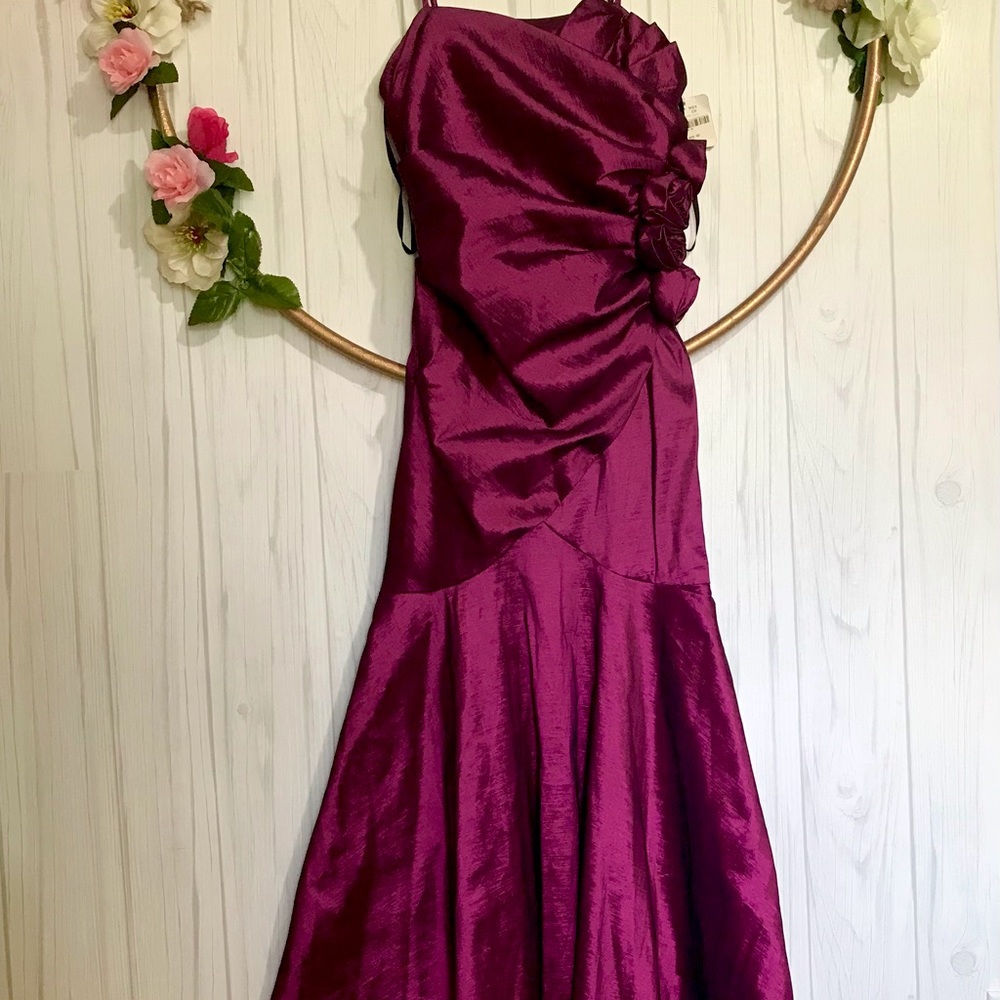 Liz Minnelli dress new with tags